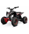 Raptor Nitro Liya 1000W Exclusive electric ATV