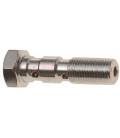 Double flow screw M10 x 1 mm (chrome-plated steel)
