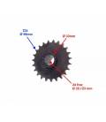 Sprocket front 200 / 250cc - for chain 520