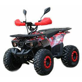 Warrior RS Exclusive 1200W 60V electric ATV