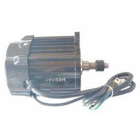 Electric motor for ATV Hunter 1000W 48V