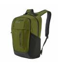 Backpack GFX 2, ALPINESTARS (green, 15.9 l)