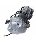 Motor Shineray 250cc H2O (167mm)