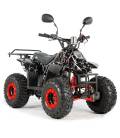 Sunway Barbarossa PLUS Edition 125cc ATV