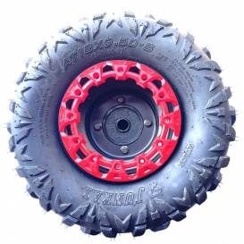 Rear disc including tire and decorative cover for the XTR Warrior ATV