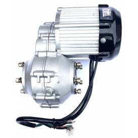 Elektro motor včetně diferenciálu pro buggy DUNE 1000W 60V