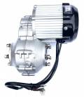 Electric motor including differential for buggy DUNE 1000W 60V