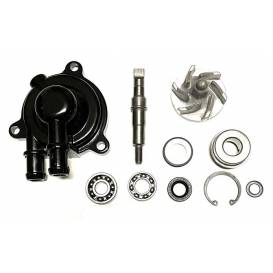 Water pump complete 200 / 250cc - type1