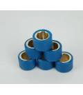 Variator rollers 17x13 mm 6g