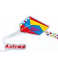 Günther drak Mini Parafoil 60x51 cm