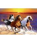 Wooden City dřevěné puzzle - Divocí koně a pláži XL