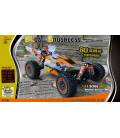 DF models RC auto RC buggy BL06- Brusshless 1:14