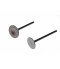 Intake and exhaust valves Shineray 200ST